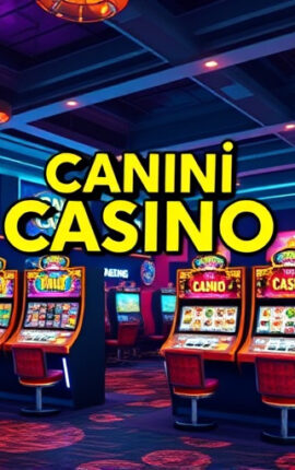 Canlı Casino Rulet: Oyunun İncelikleri ve 2025’te En İyi Oyun Deneyimi